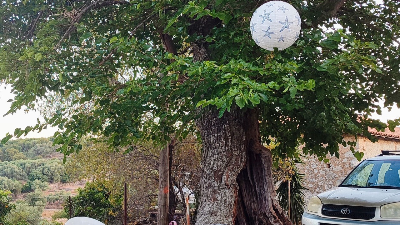 Photo of Outdoor in Fternon