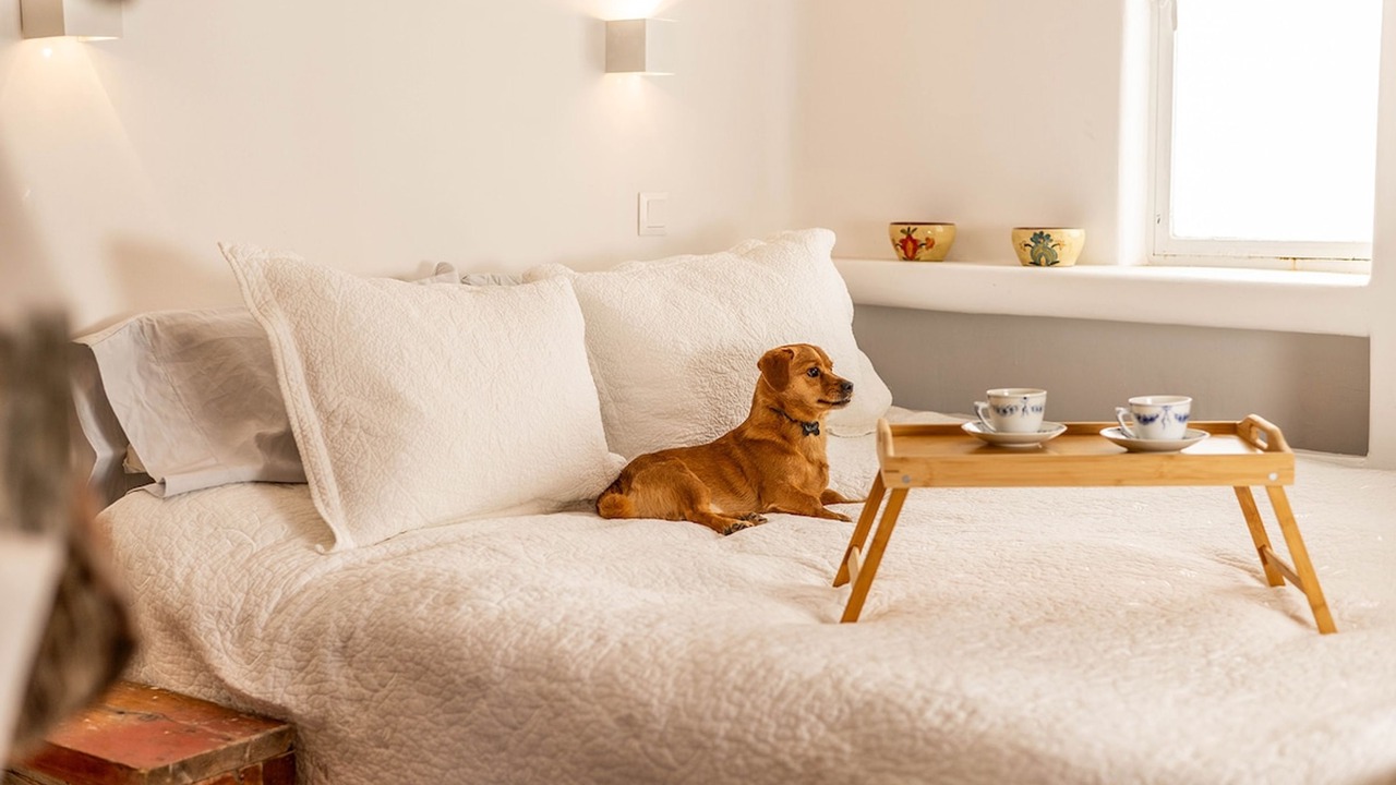 Photo of Bedroom in Limni Vouliagmenis