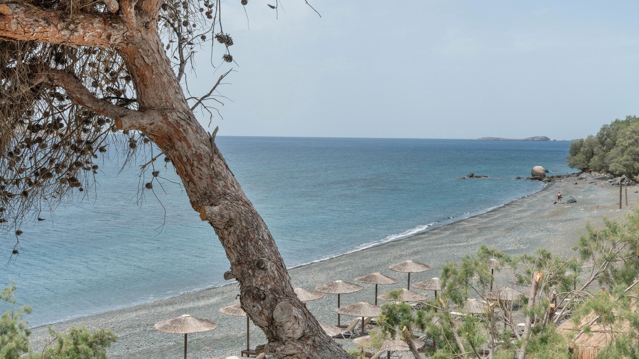 Photo of Others in Panormos