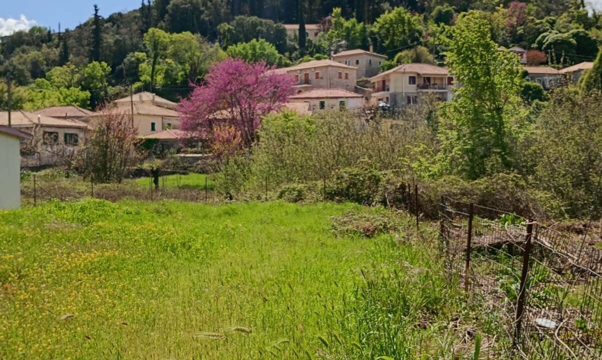 Photo of Others in Lazarata