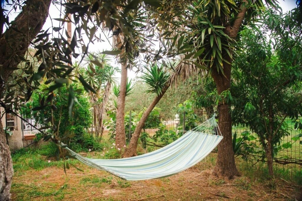 Photo of Outdoor in Molos