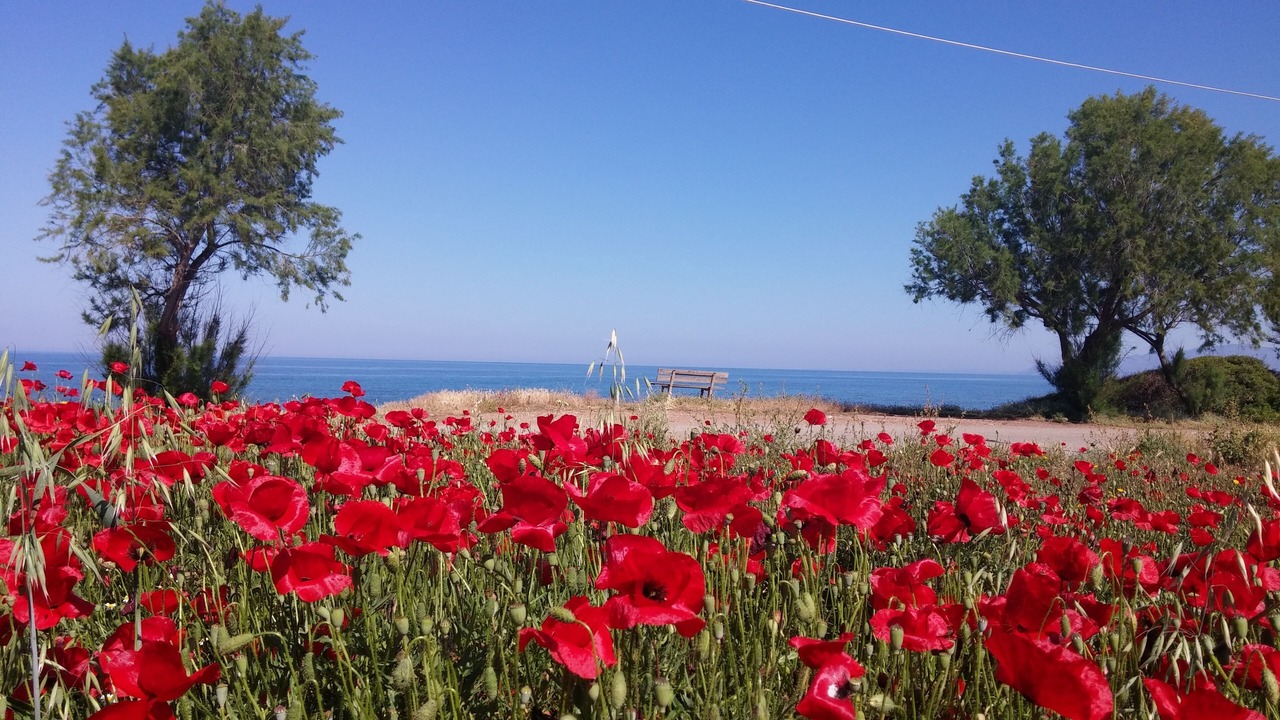 Photo of Others in Agrilos