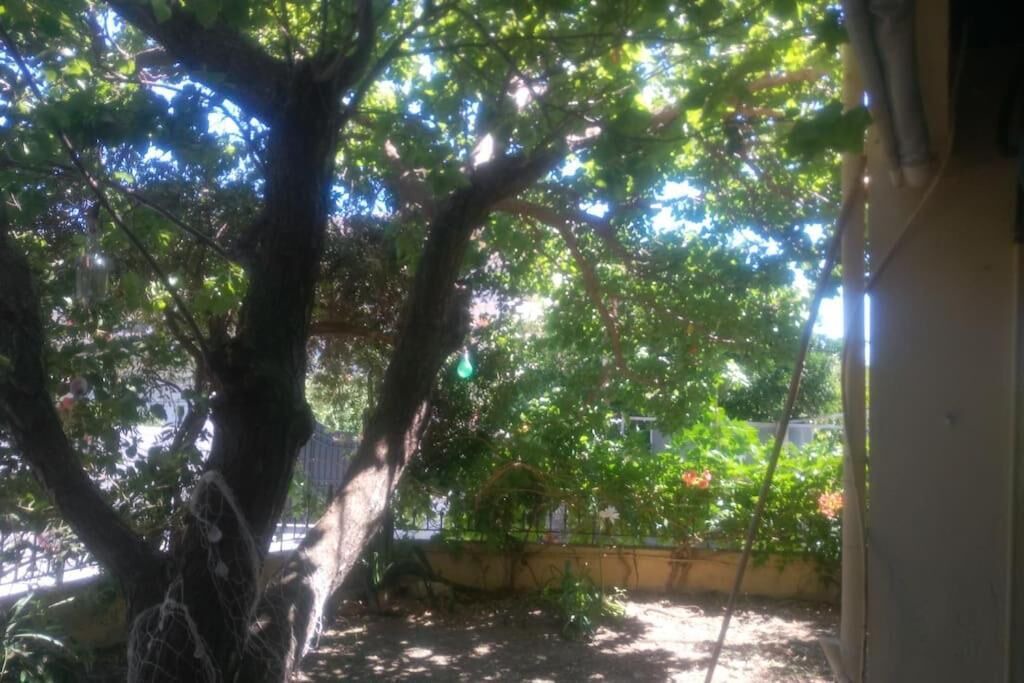 Photo of Outdoor in Chios