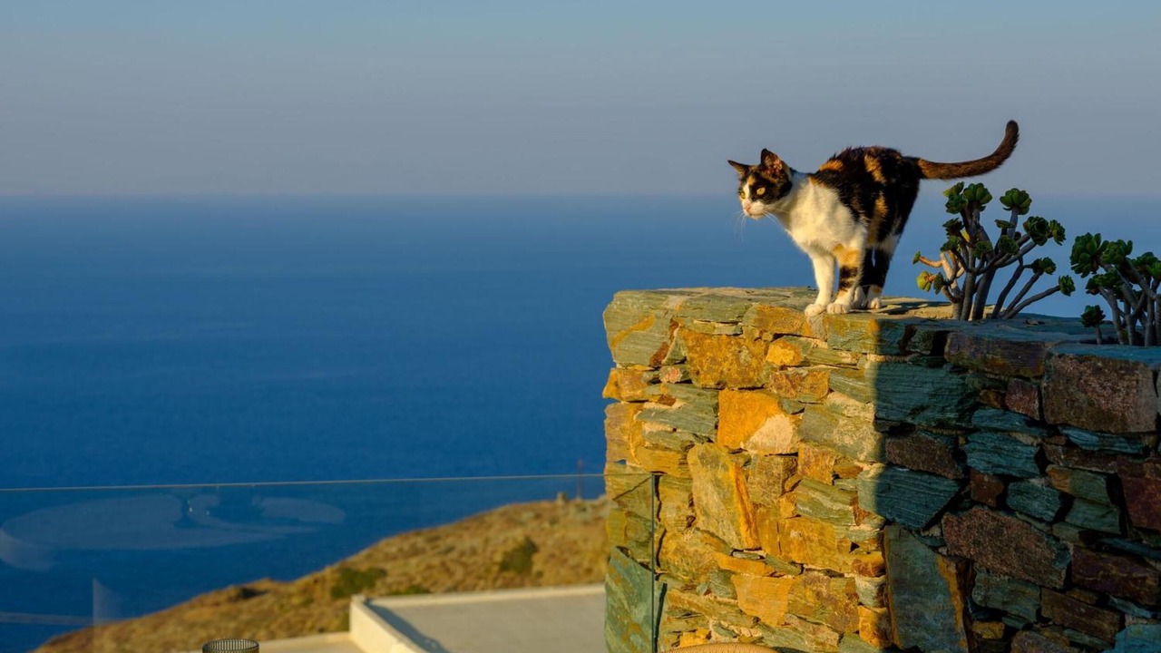 Photo of Outdoor in Ano Meria