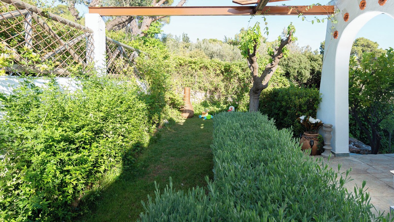 Photo of Outdoor in Porto Rafti