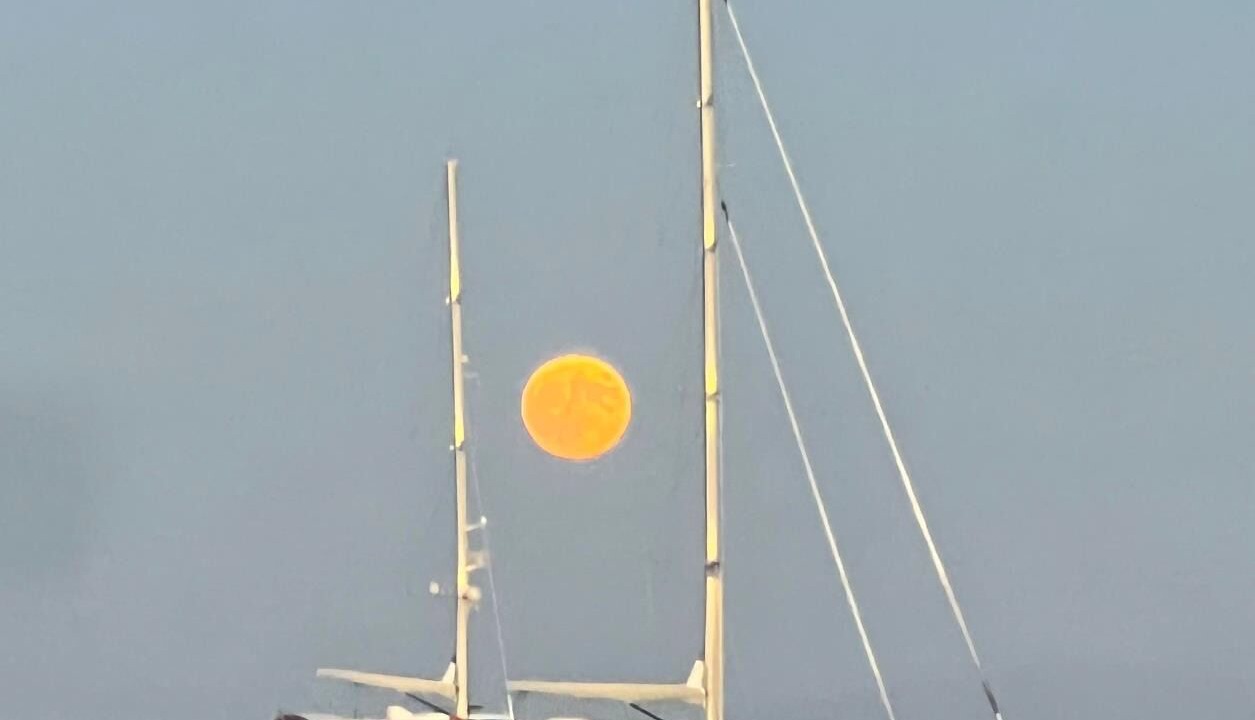 Photo of Others in Apollonia
