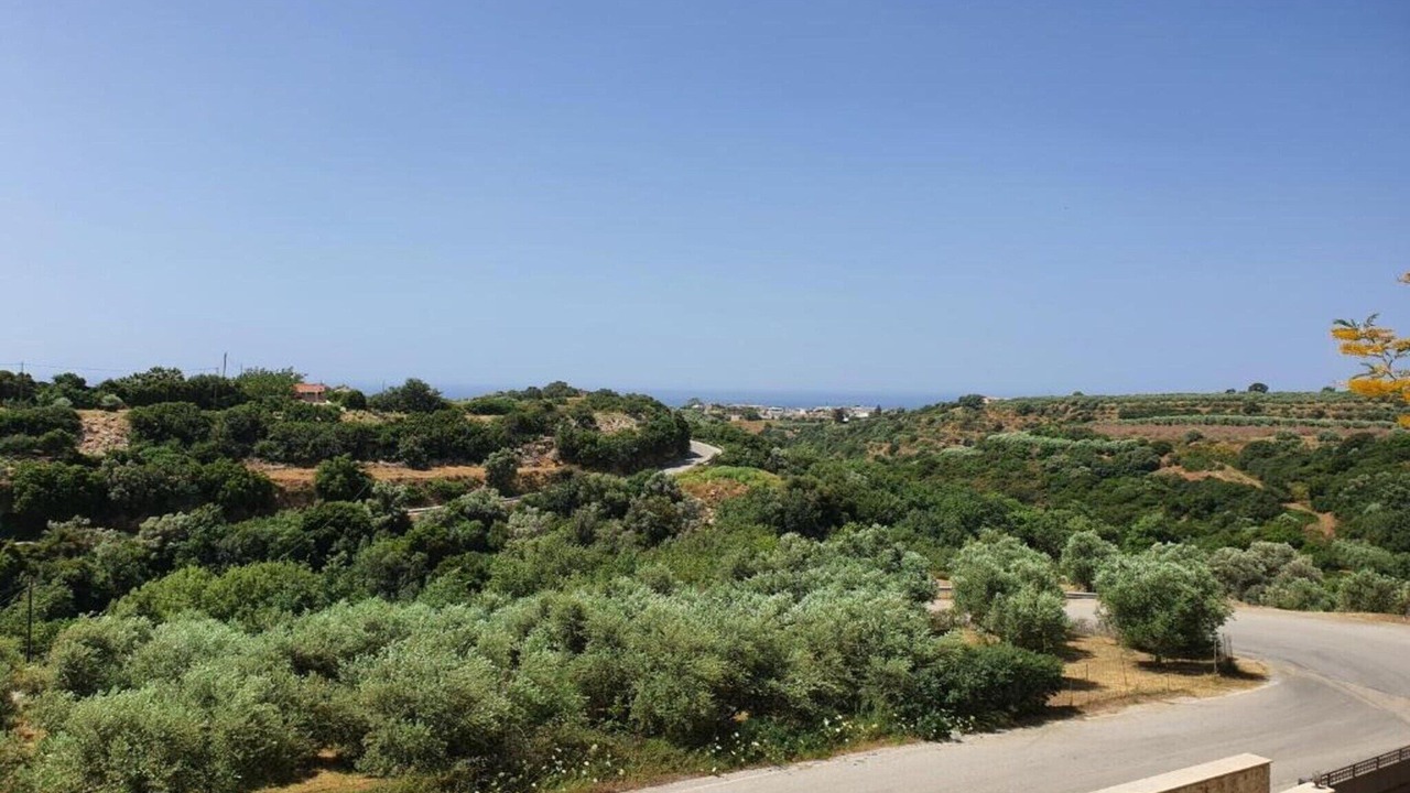 Photo of Others in Asteri