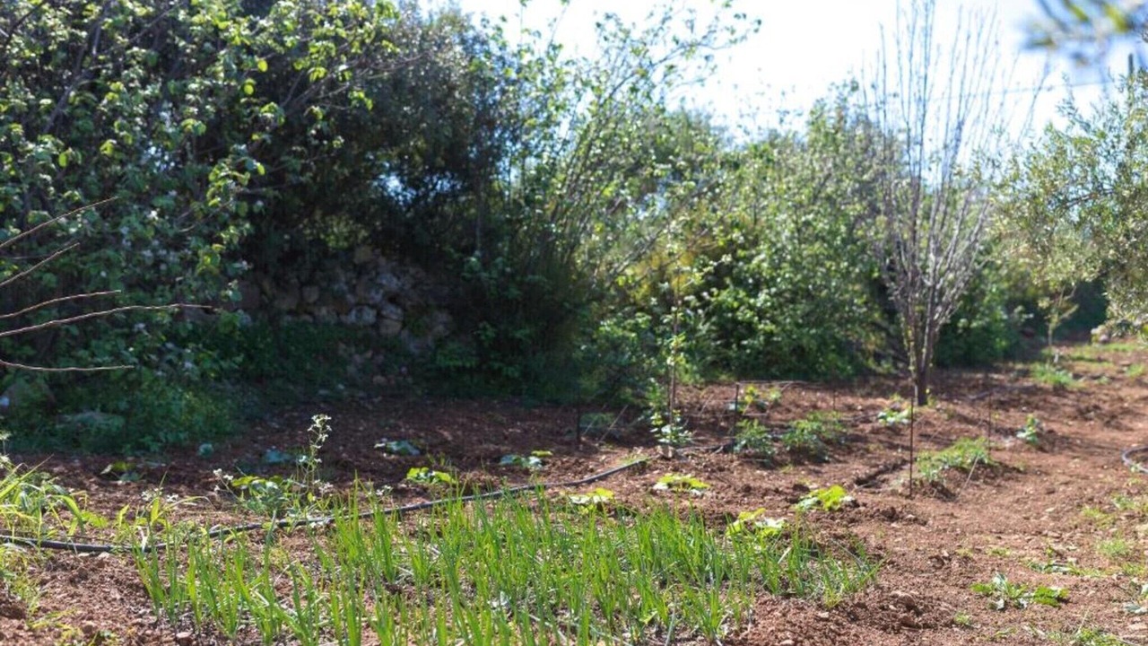 Photo of Others in Vasilikos