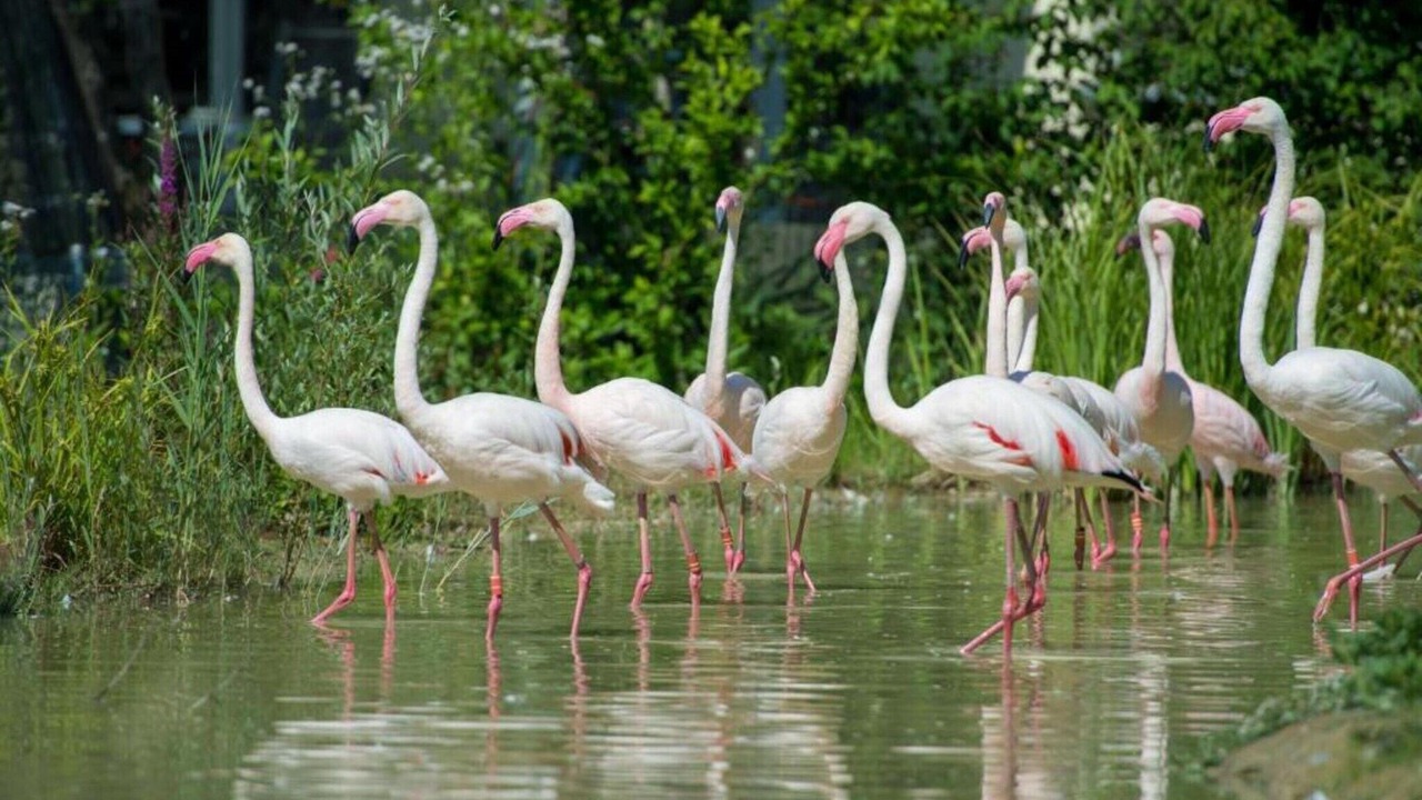 Photo of Others in Neromilos