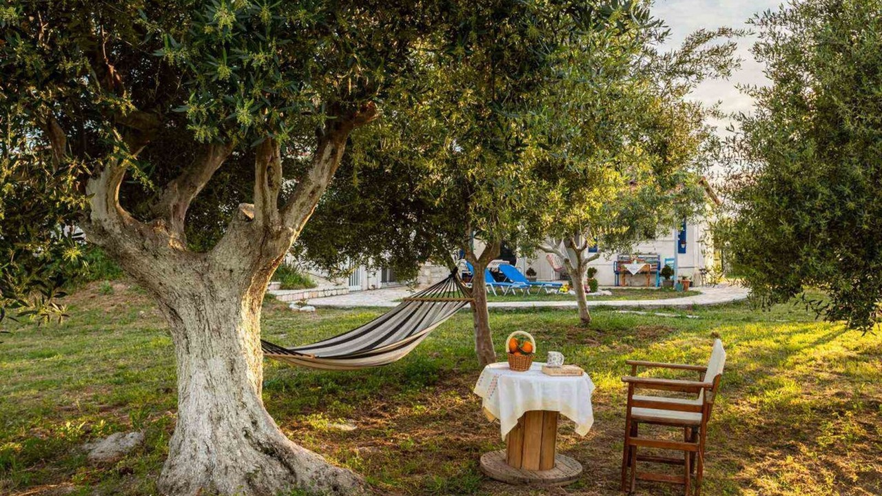 Photo of Outdoor in Messini