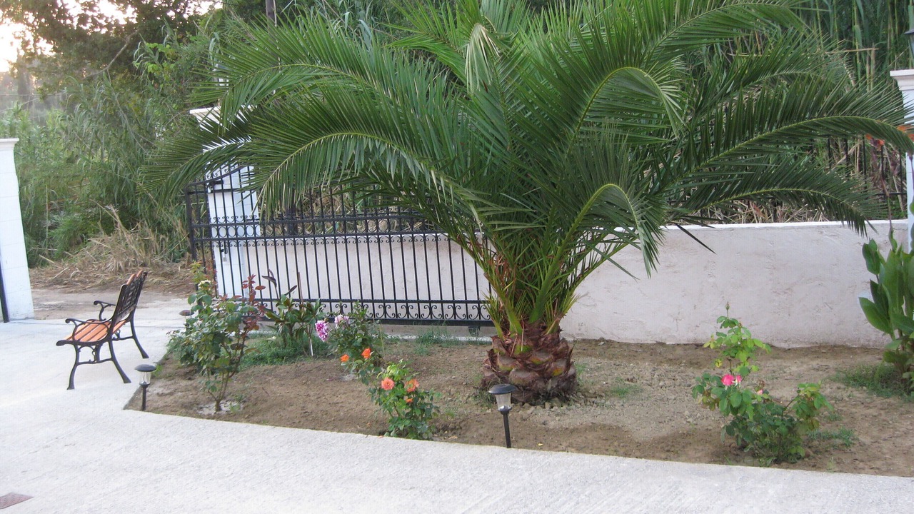 Photo of Outdoor in Peroulades