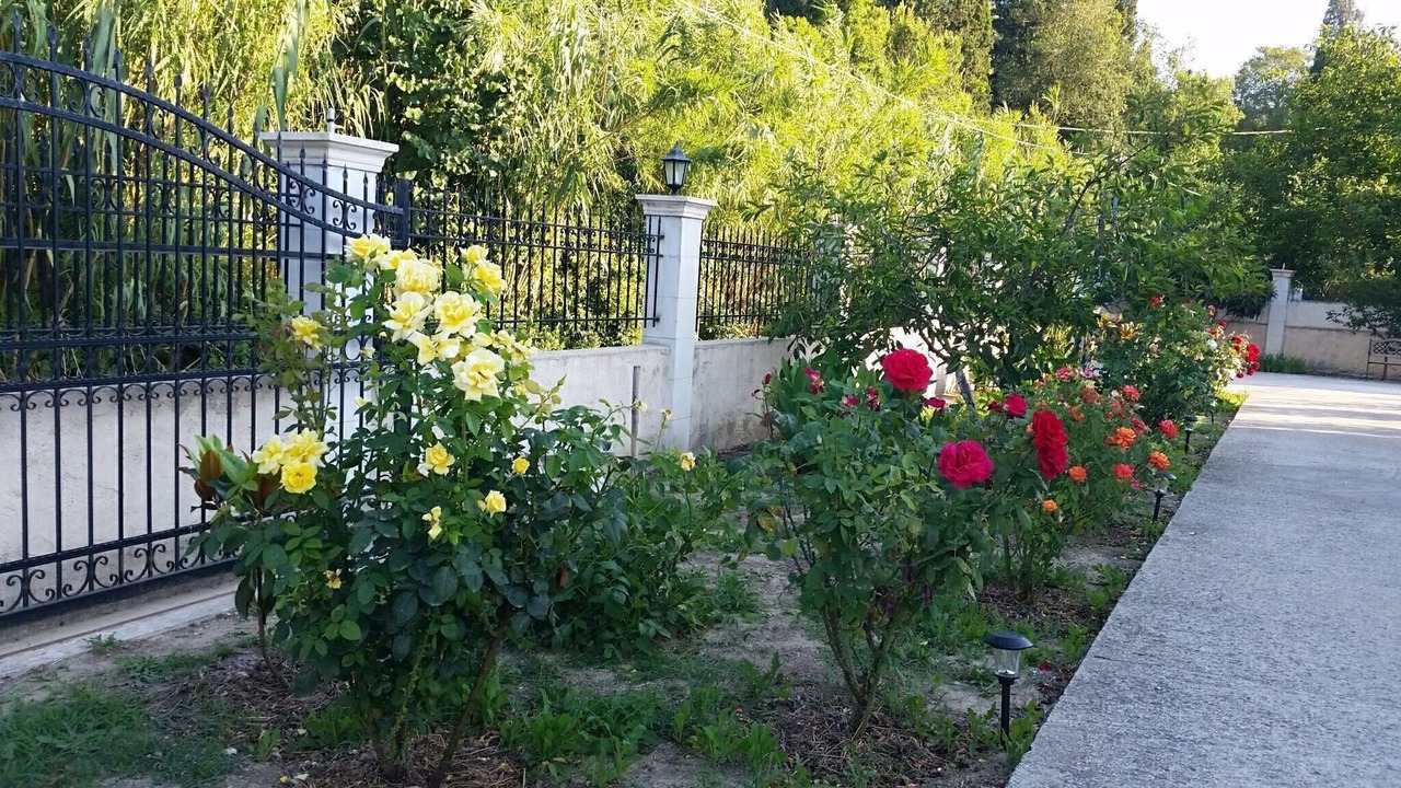 Photo of Outdoor in Peroulades
