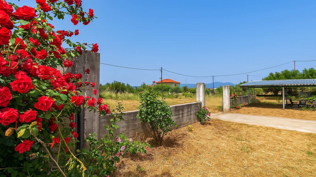 Photo of Outdoor in Kiparissia