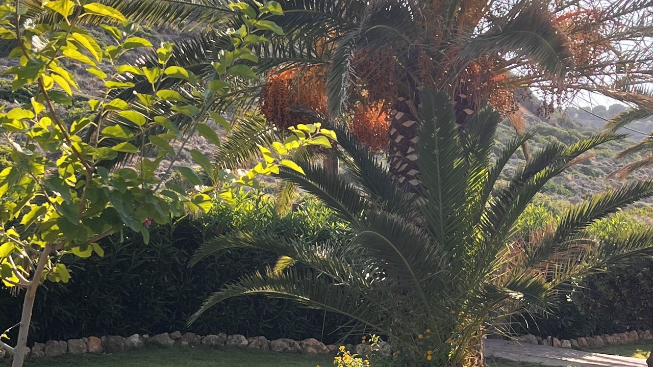 Photo of Outdoor in Mochlos