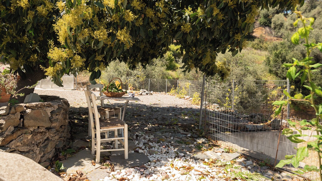 Photo of Patio Balcony in Psathoyiannos