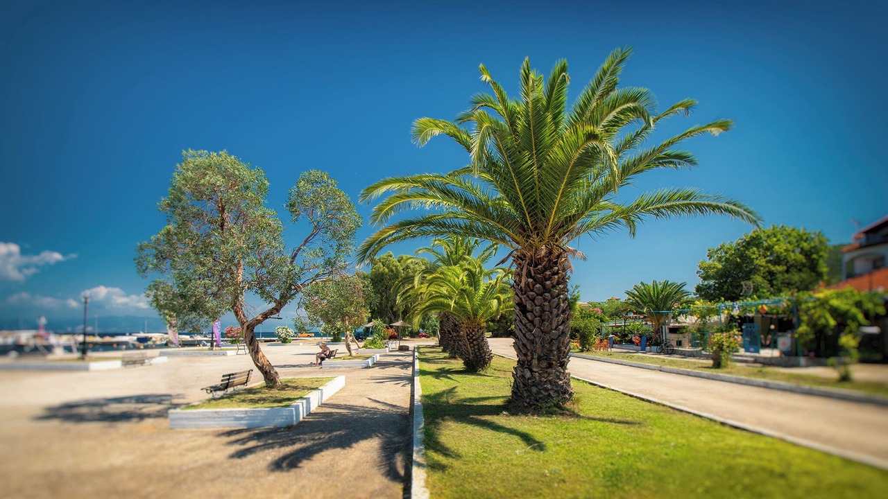 Photo of Others in Skala Rachoniou