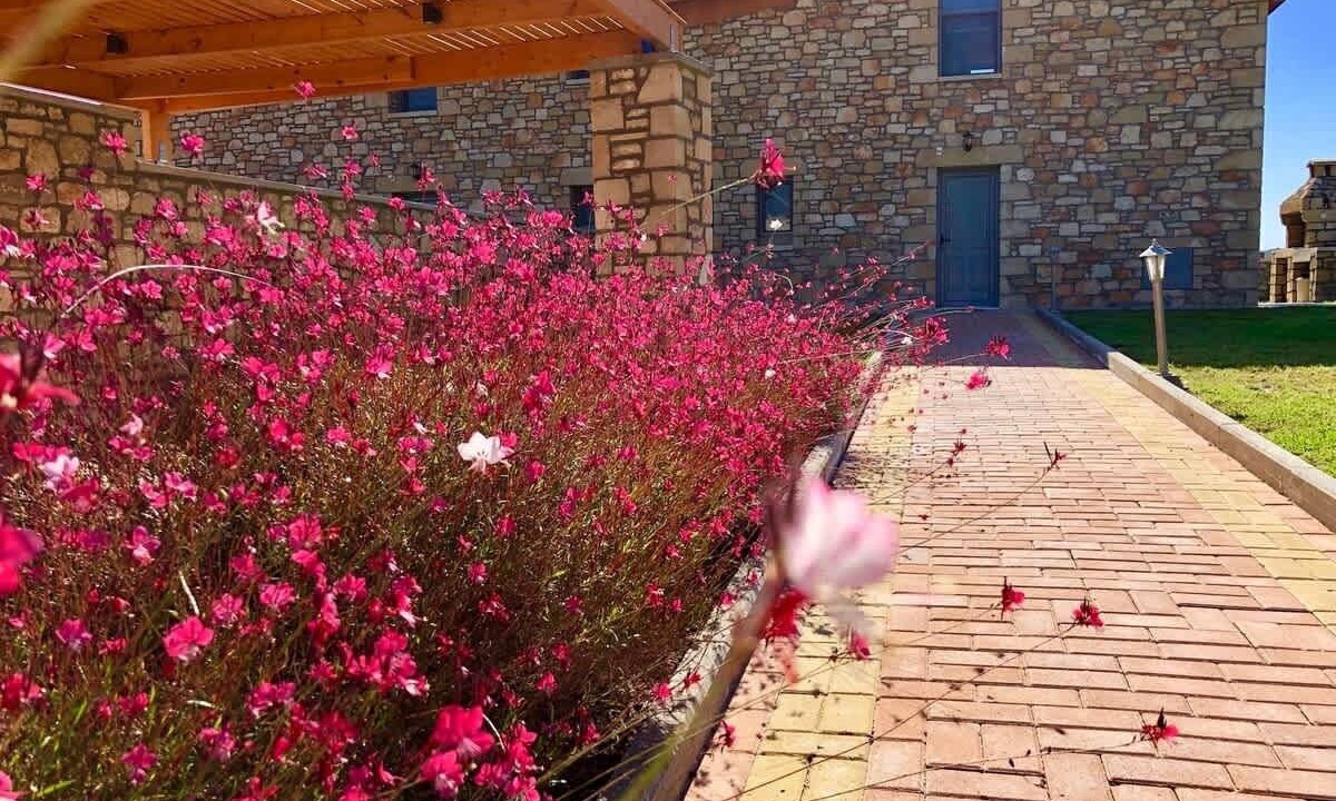 Photo of Outdoor in Lardos