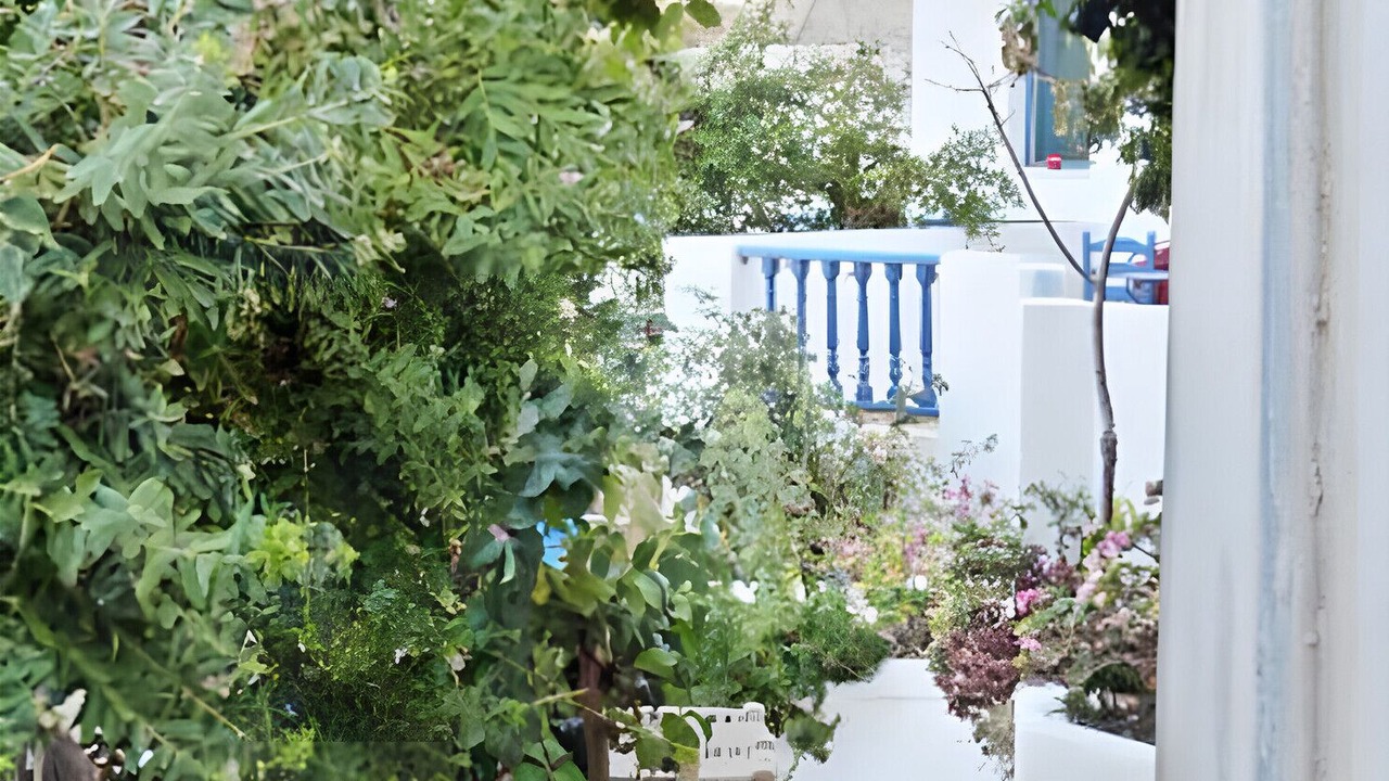 Photo of Outdoor in Diafani