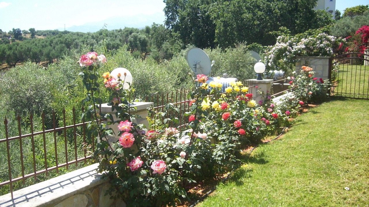 Photo of Outdoor in Galatas