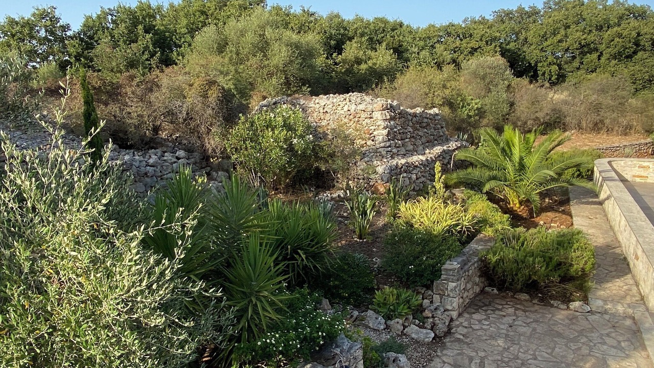 Photo of Outdoor in Vamos
