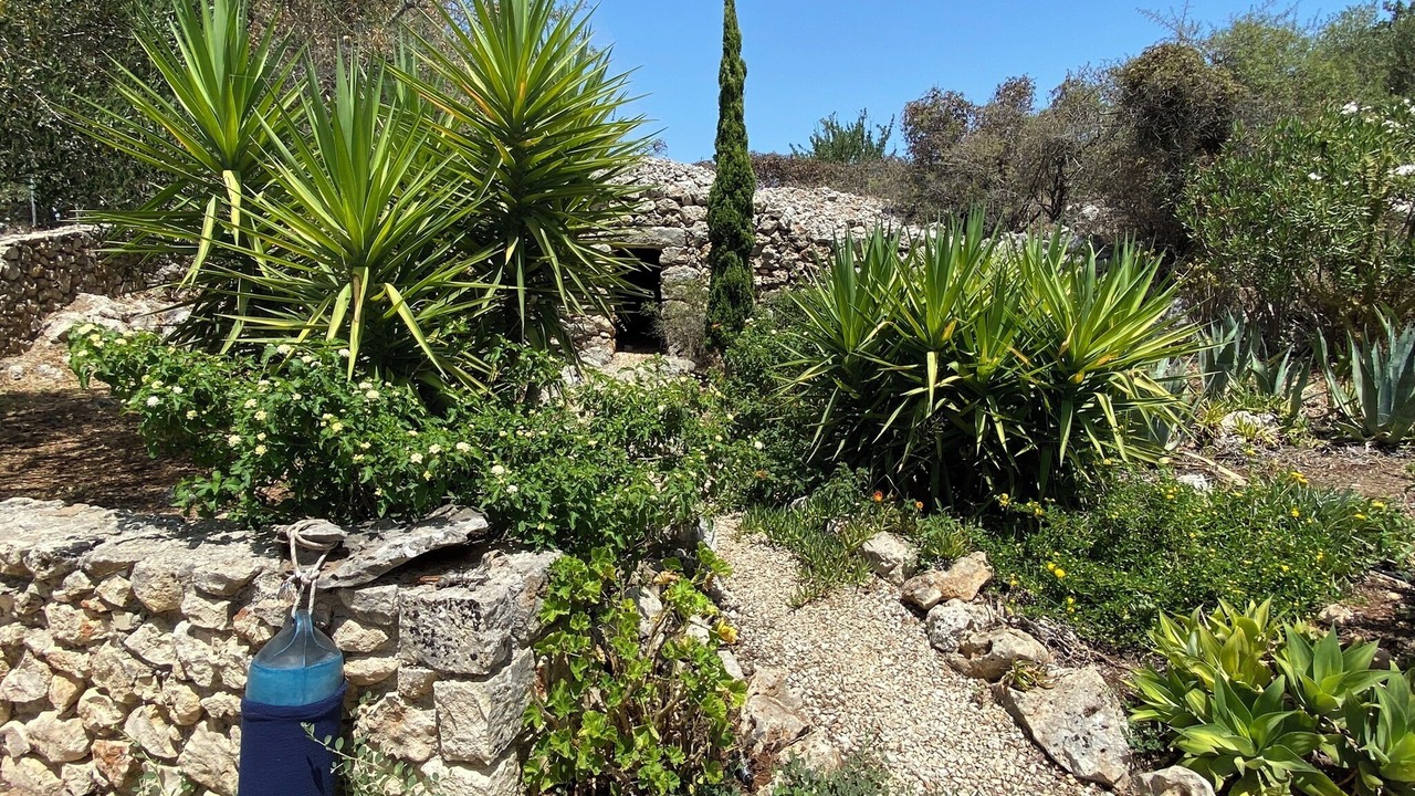 Photo of Outdoor in Vamos