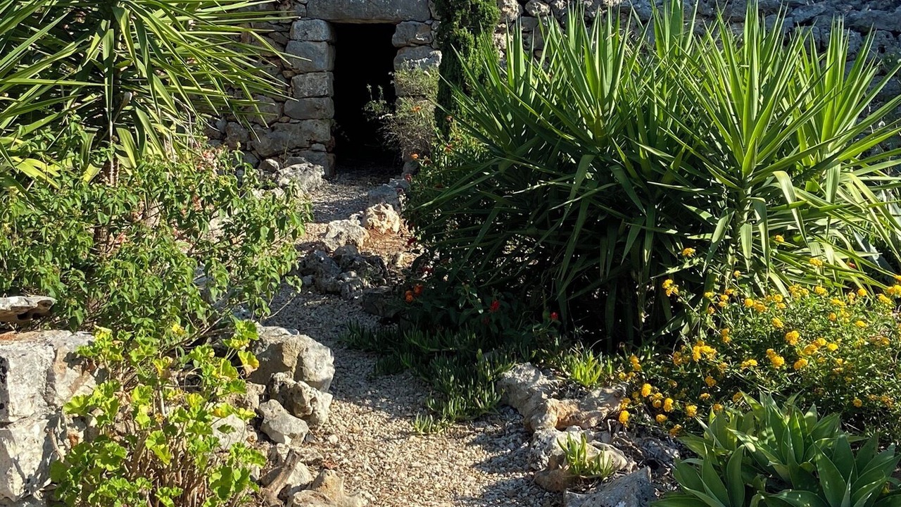 Photo of Outdoor in Vamos
