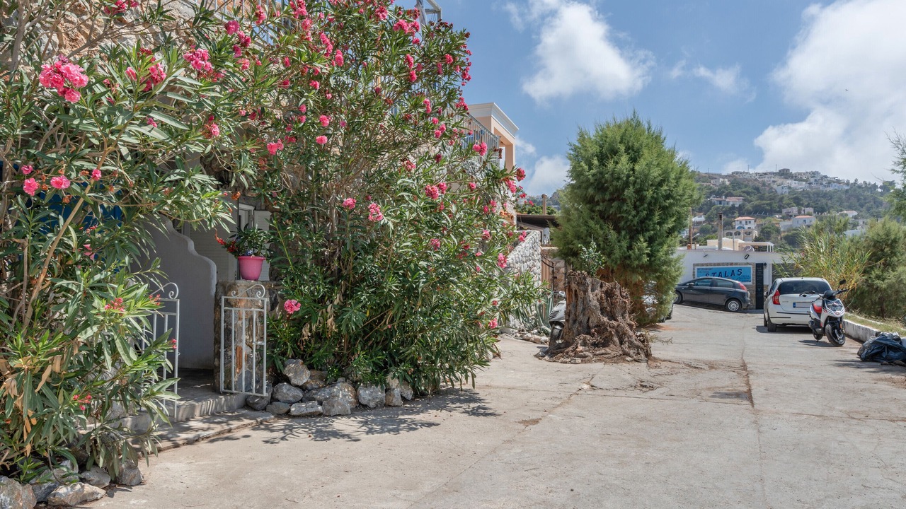 Photo of Outdoor in Mirties