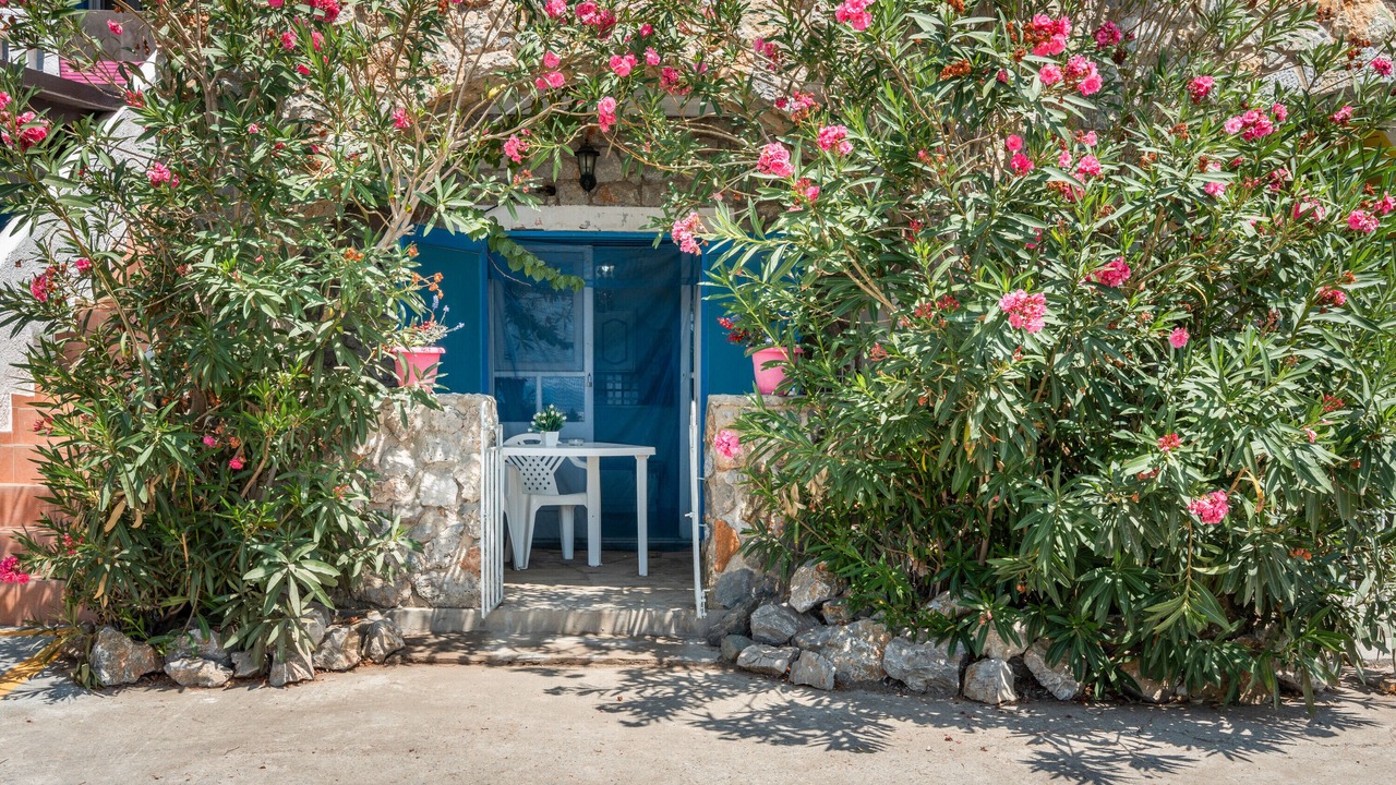 Photo of Outdoor in Mirties