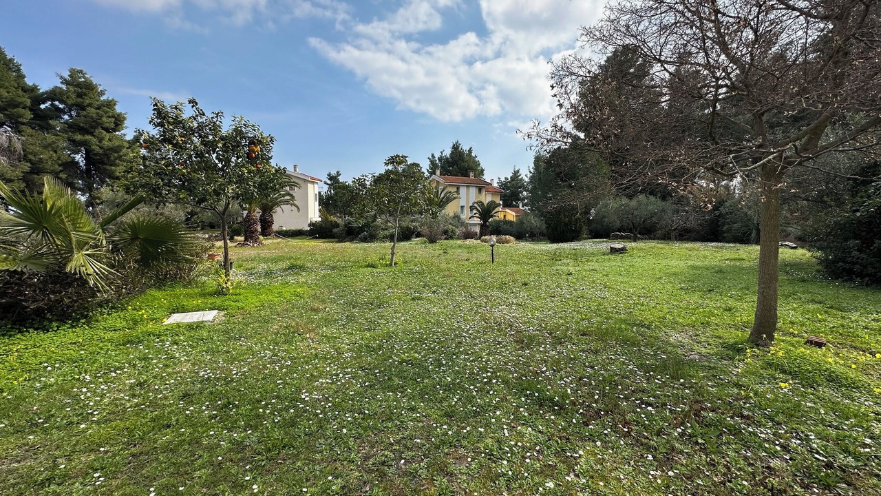 Photo of Outdoor in Kriopigi