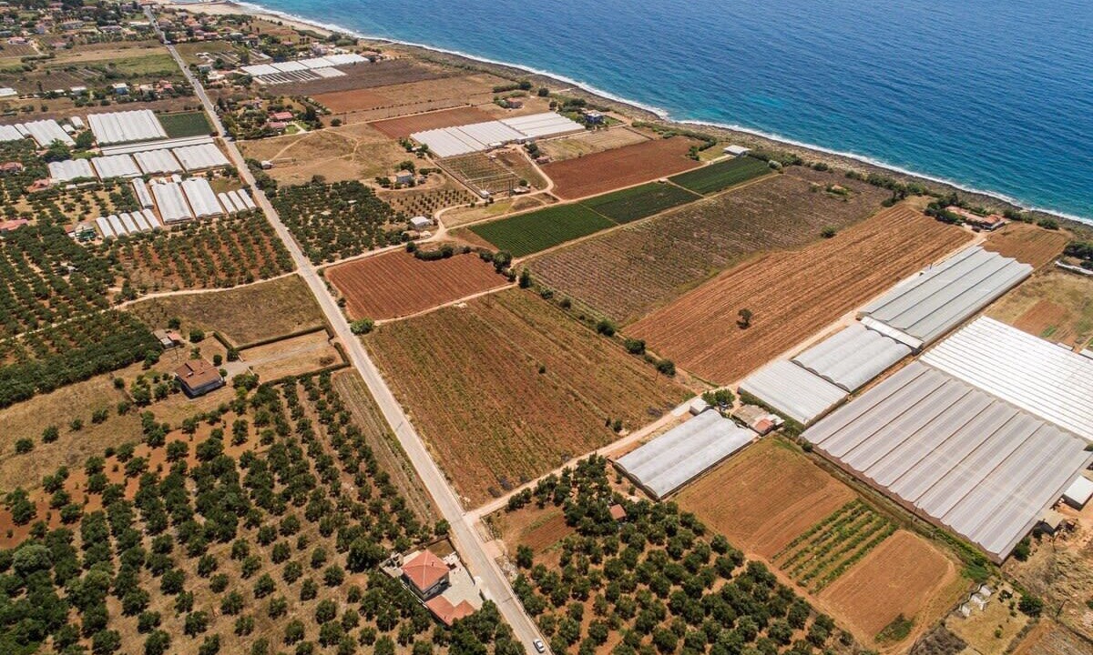 Photo of Others in Agrilos