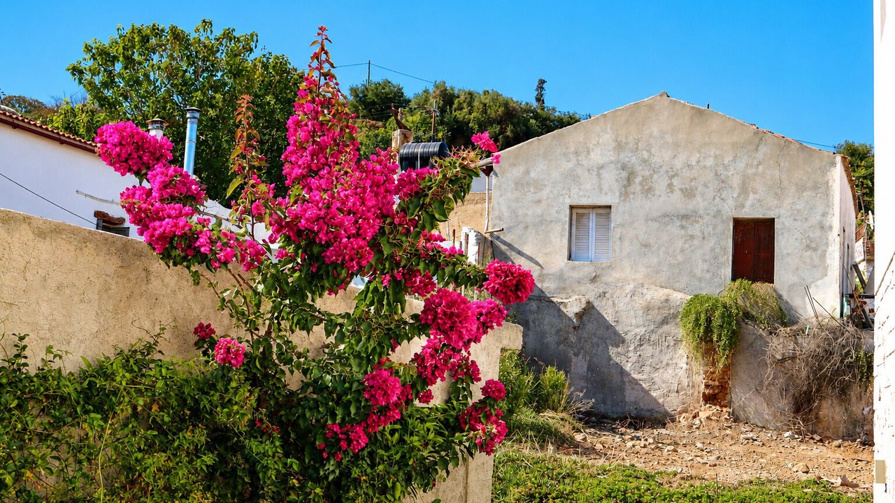 Photo of Outdoor in Polemarchi