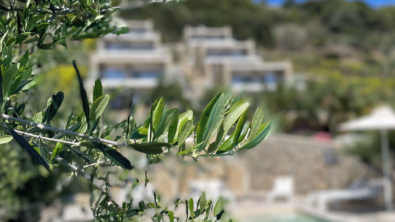 Photo of Outdoor in Gialova