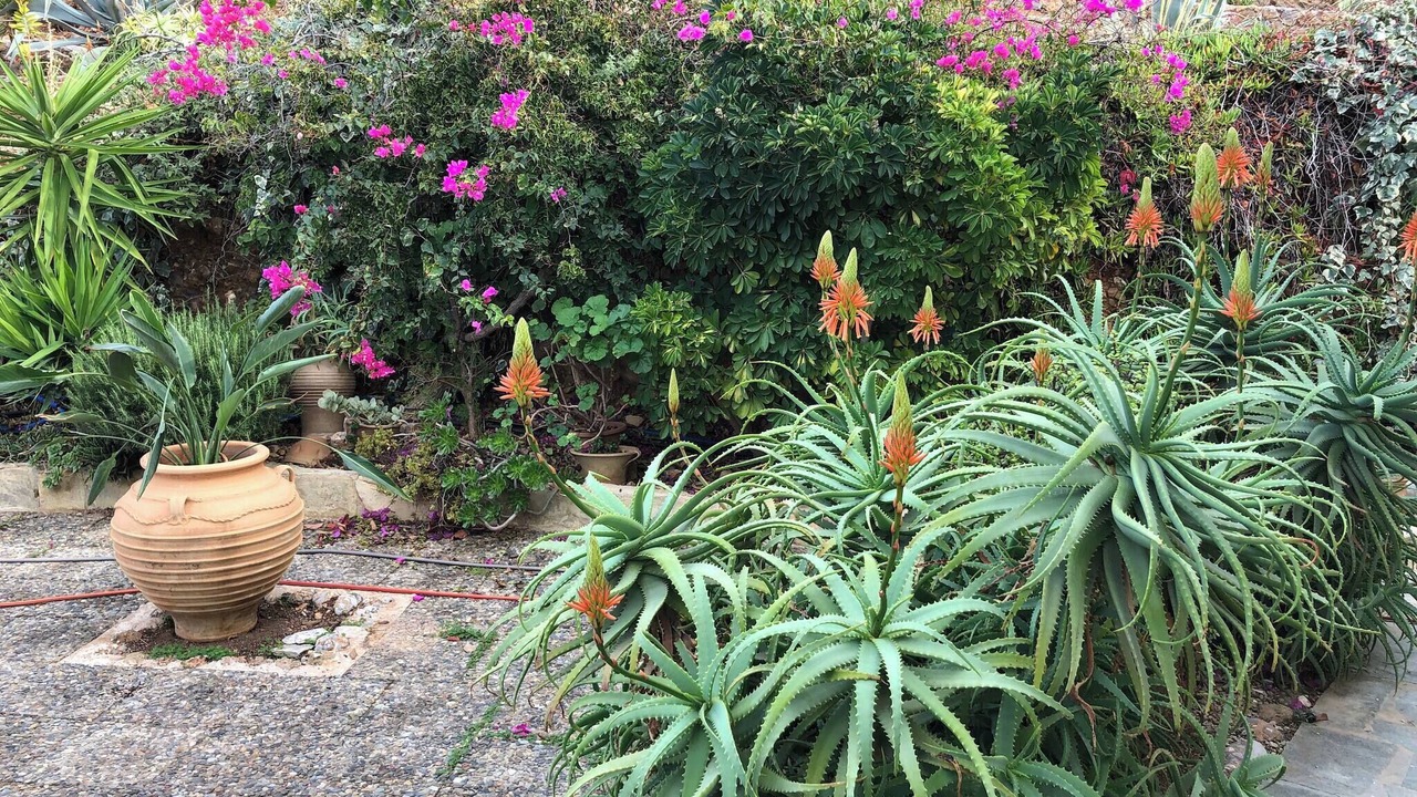 Photo of Outdoor in Pefki