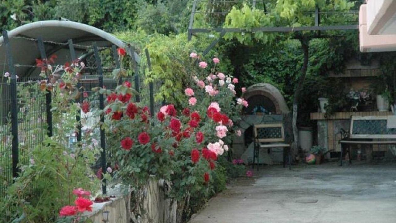 Photo of Patio Balcony in Patras
