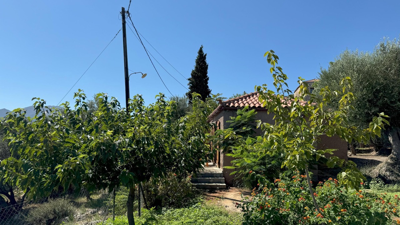 Photo of Outdoor in Karvelas
