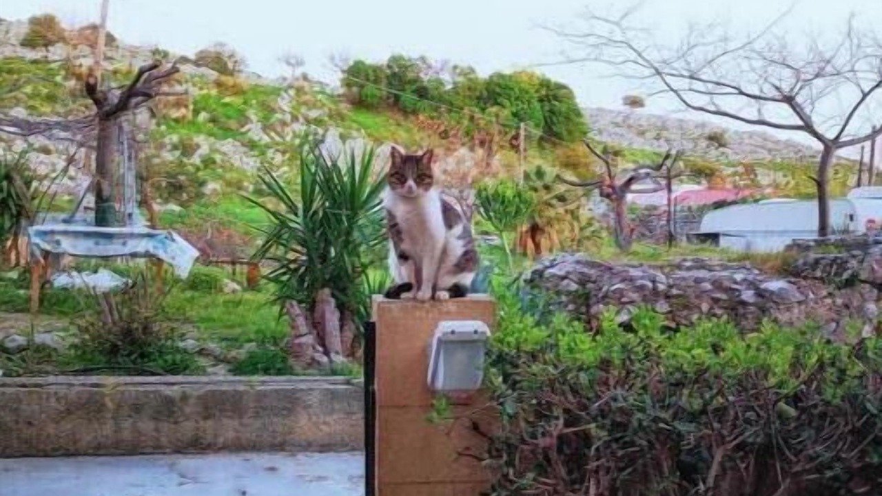 Photo of Outdoor in Haraki
