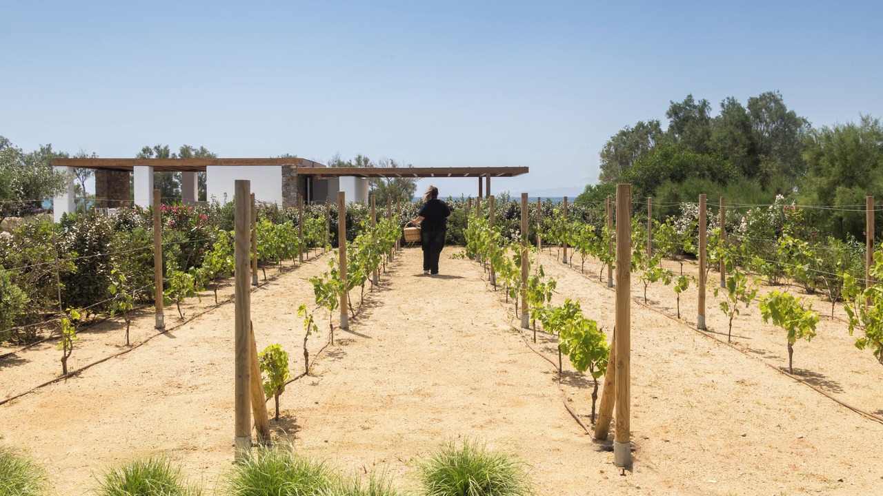 Photo of Outdoor in Maragas