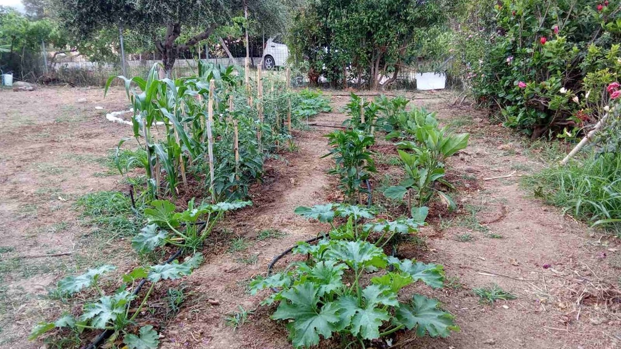 Photo of Outdoor in Korfalonas