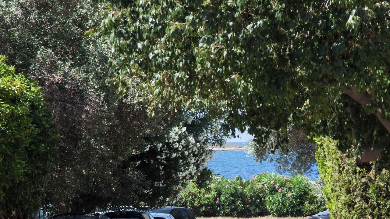 Photo of Others in Voula