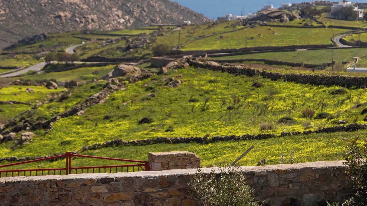 Photo of Outdoor in Paraga