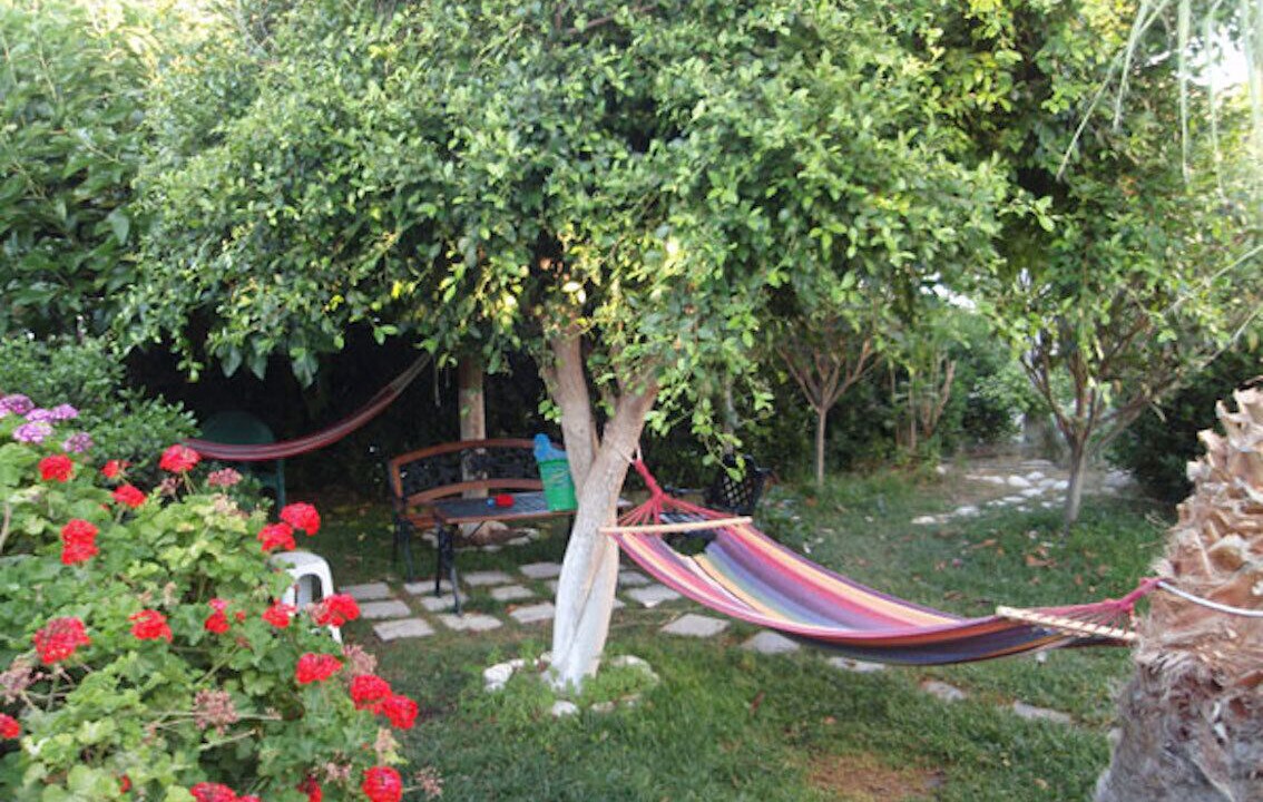 Photo of Outdoor in Lentas