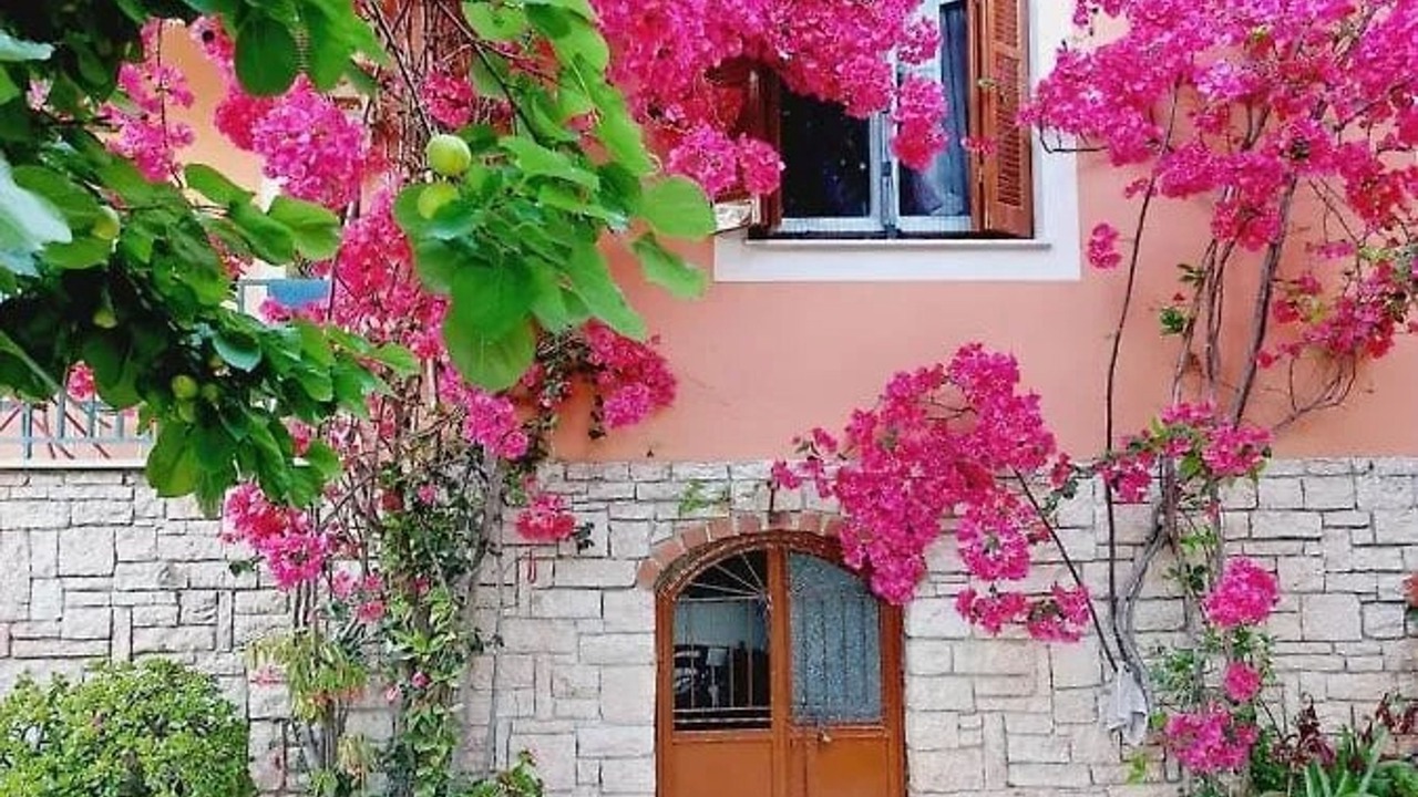 Photo of Outdoor in Ipsos