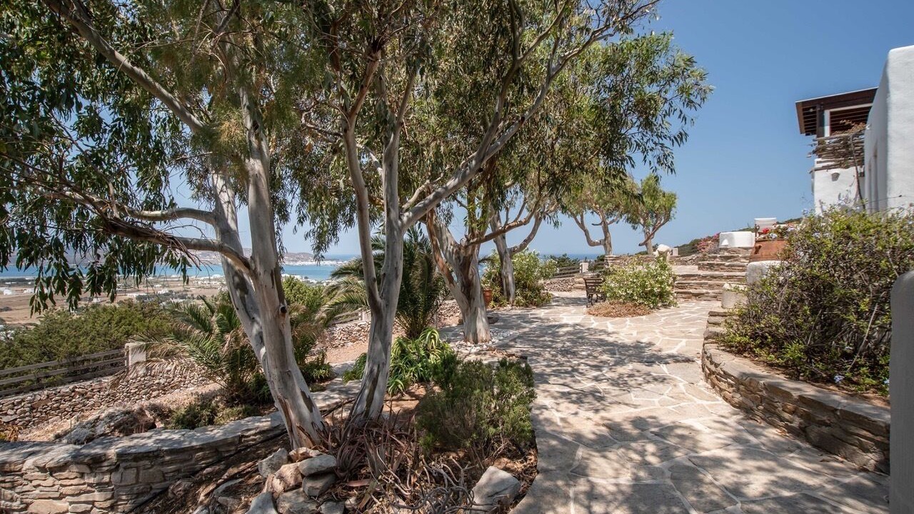 Photo of Outdoor in Glisidia