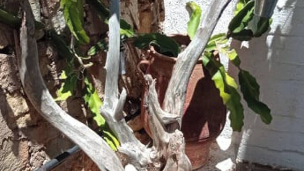 Photo of Outdoor in Agios Nikolaos