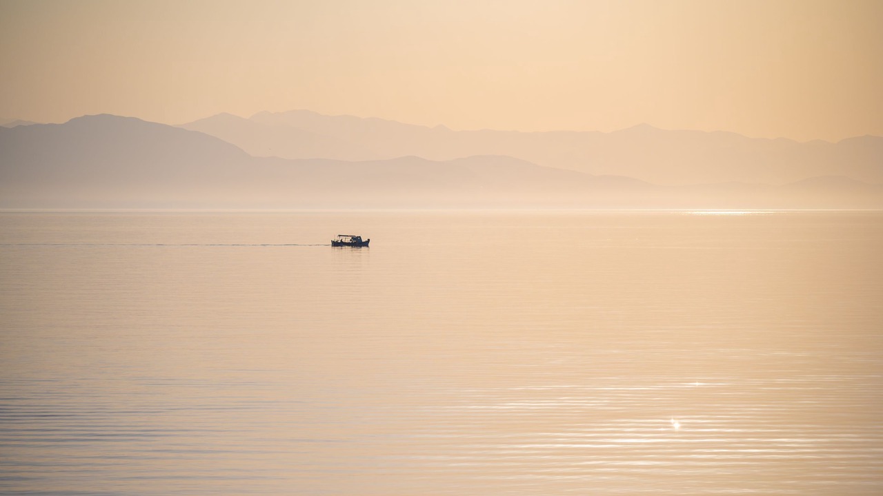 Photo of Others in Paxos
