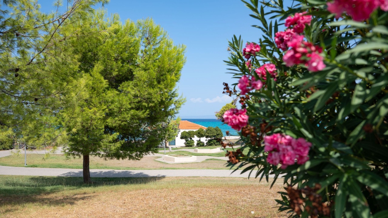 Photo of Outdoor in Pallini