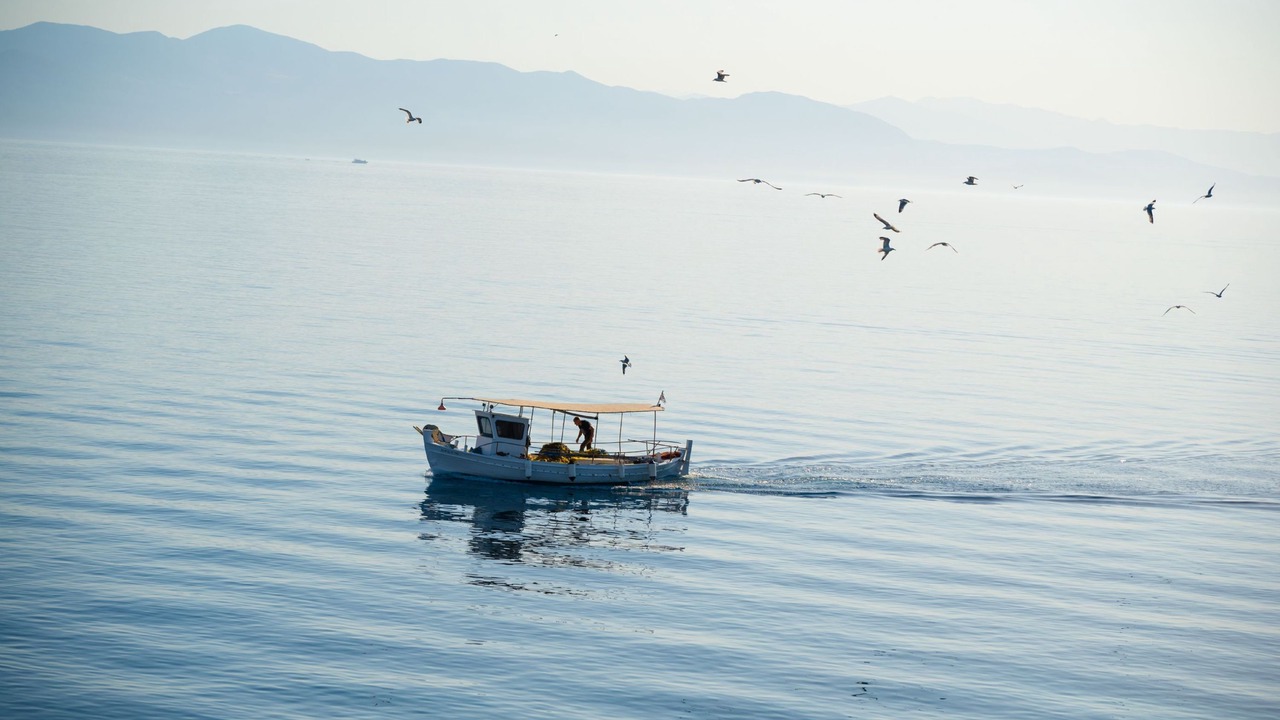 Photo of Others in Gaios