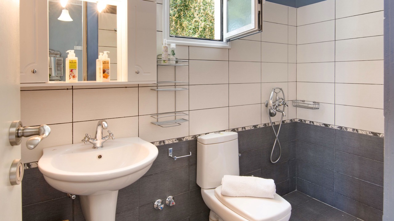 Photo of Bathroom in Paxos