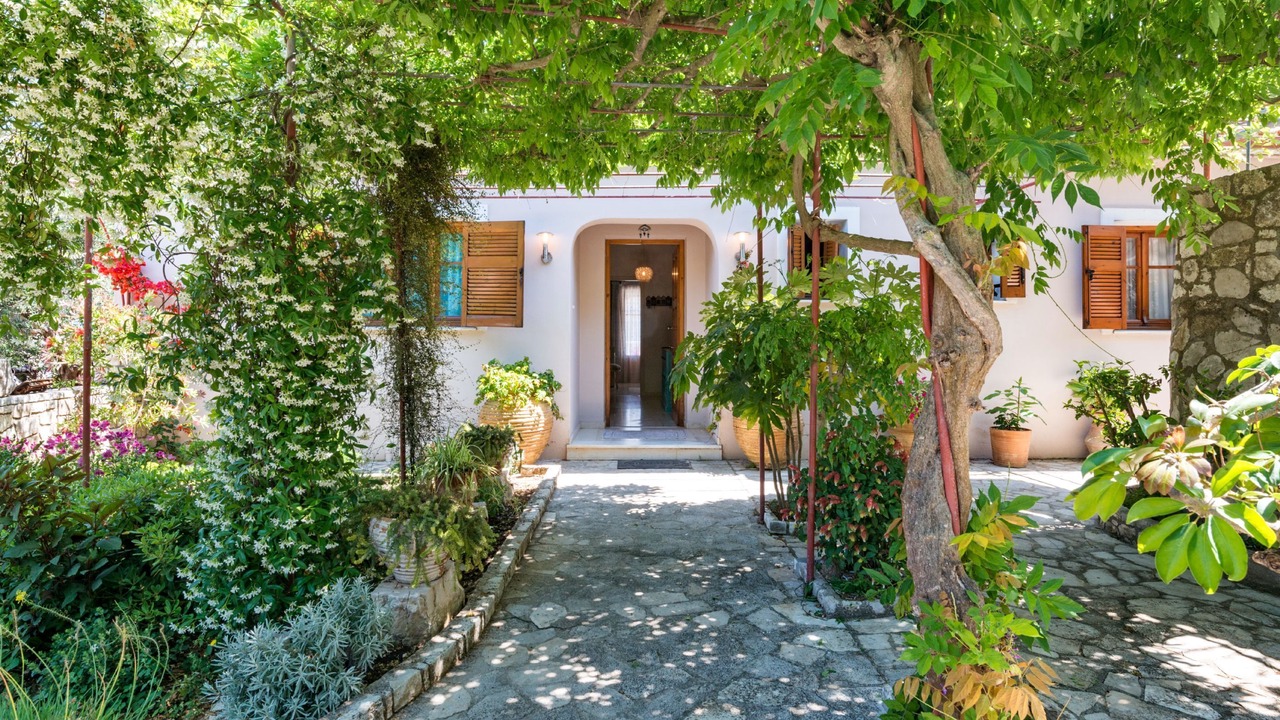 Photo of Others in Paxos