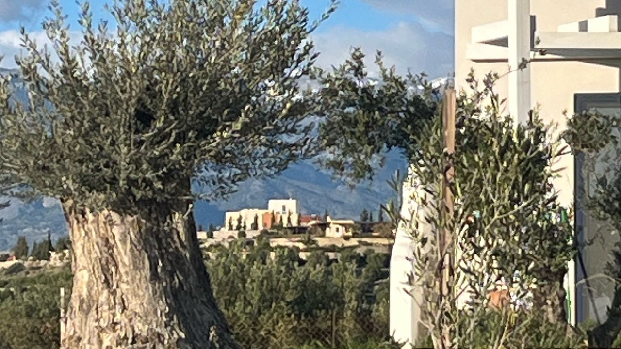 Photo of Others in Pitsidia